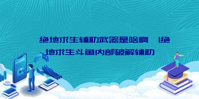 「绝地求生辅助武器是啥啊」|绝地求生斗鱼内部破解辅助